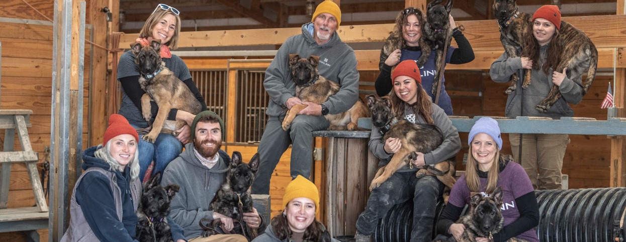 The Svalinn team in barn with Mineral pups