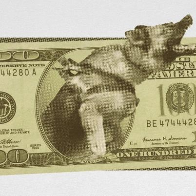 One company describes their guard dogs as the 'ultimate lovers and protectors' (Image credit: Illustration by Julia Wytrazek / Getty Images)