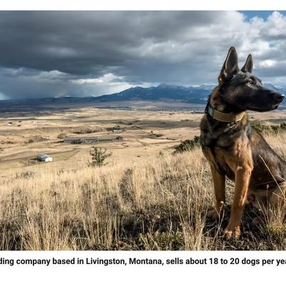 Svalinn in Outside Bozeman