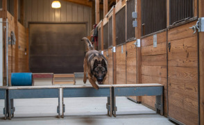  Amos hupping over benches