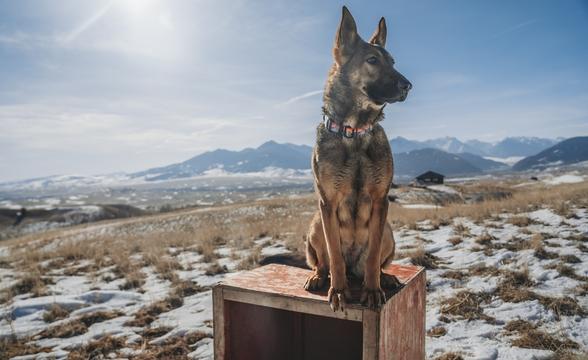 Kikori sitzing on box with mountain vistas
