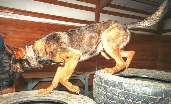Karoo crossing tires
