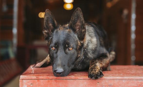 Halo relaxing on box