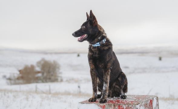 Side profile of Recon