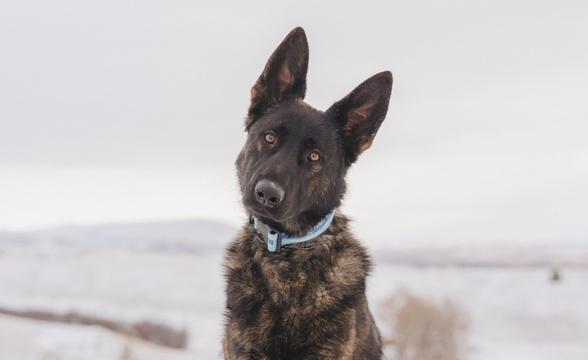 Commando sitting outside