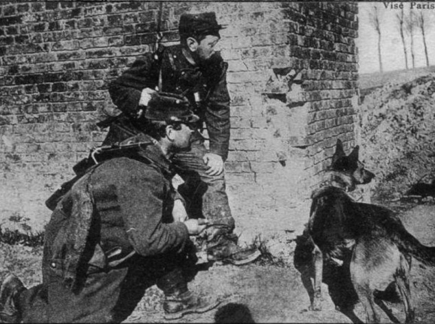 Two soldiers and a dog looking around a corner