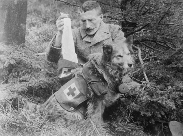 A soldier pulling medical supplies from a dog's saddle bags