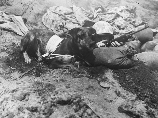 A soldier and dog laying in a trench