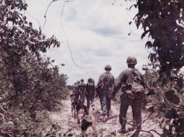 A Vietnam patrol walking with a dog