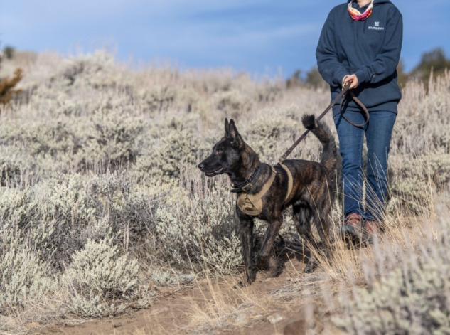 Clyde, tracking